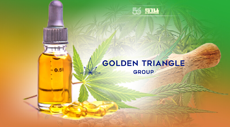 GTG อัพเกรดการสกัด "กัญชง" เพิ่มคุณภาพ CBD ยึดตลาดไทย-ต่างประเทศ
