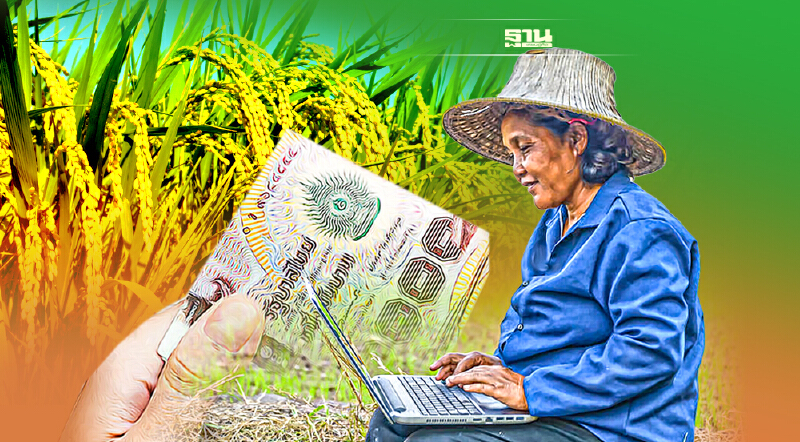 ประกันรายได้ข้าว งวด 5  ชาวนาเตรียมเช็คเลยเงินเข้าวันไหน