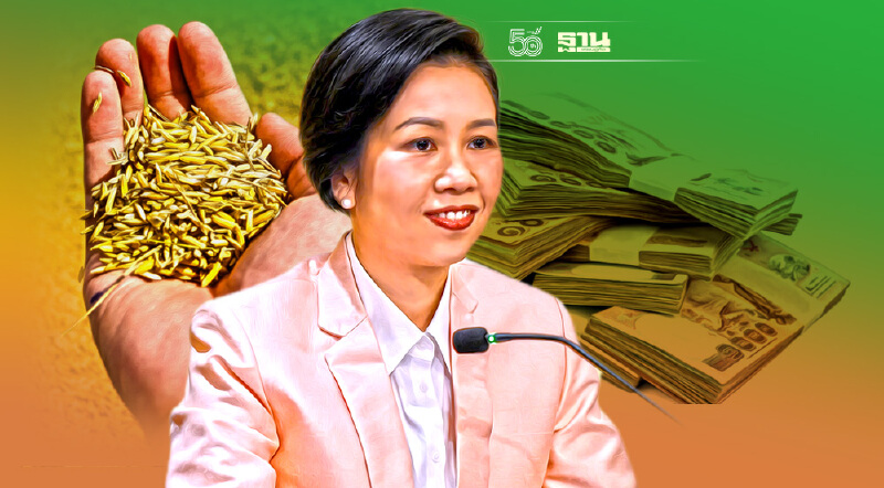 เฮ! ประกันรายได้ข้าว เริ่มจ่ายส่วนต่างงวดแรก 9 พ.ย.นี้ รอรับได้เลย