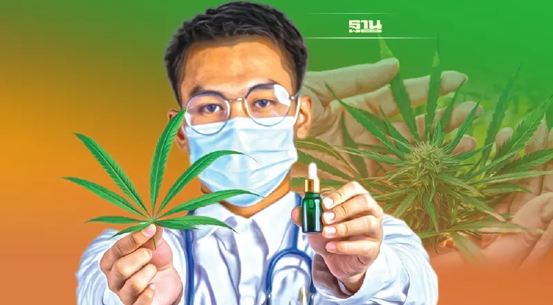 ‘กัญชา’ ดันไทยสู่ Wellness Tourism ต้นแบบ Green medicine