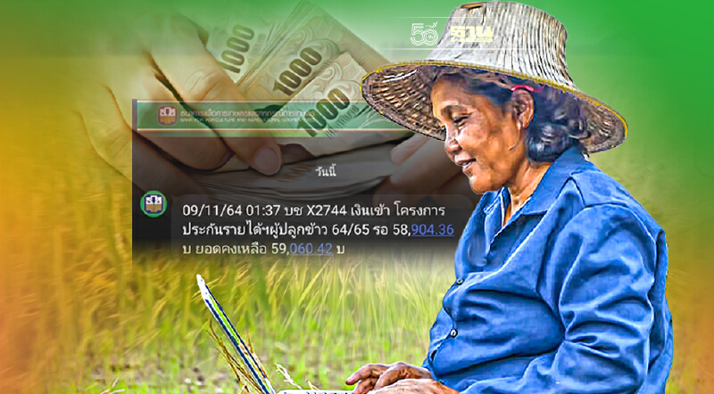 เงินเข้าแล้ว “ประกันรายได้ข้าว”  โวย ธ.ก.ส. เงินได้ไม่ครบ