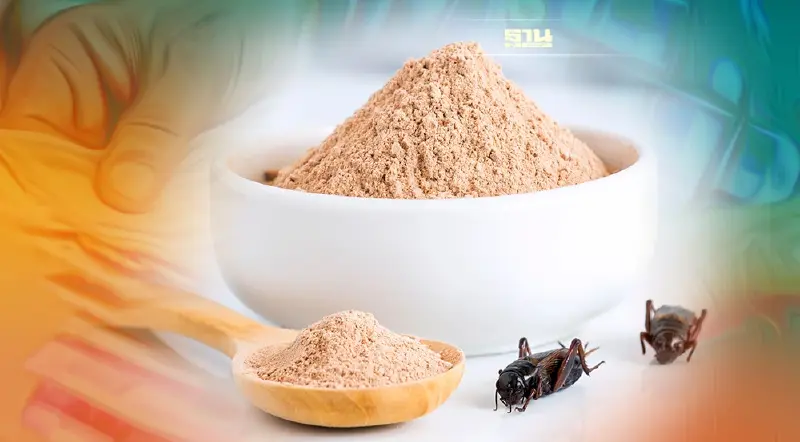 ชี้ช่องรวย ปี65   อาหารทางเลือก โปรตีนจากจิ้งหรีด อ่านเลย