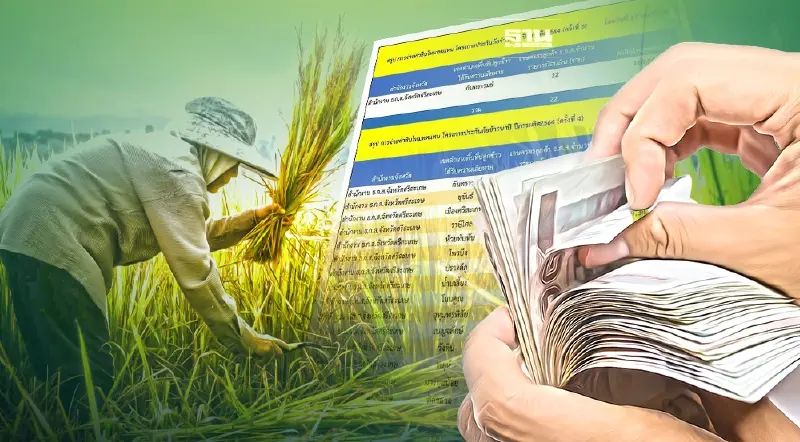 เช็คเงินช่วยเหลือชาวนา ปี 64 65 ล่าสุด  ตรวจสอบ chongkho.inbaac.com ดูที่นี่