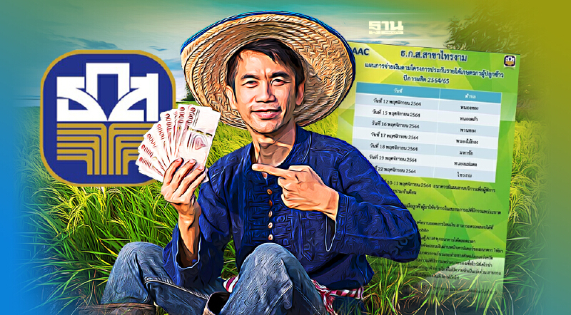 เช็คเงินประกันราคาข้าวปี 64 65 ธ.ก.ส.สาขาไทรงาม โอนวันนี้ดูไทม์ไลน์ด่วน