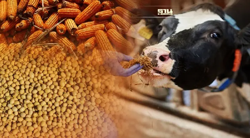 อาหารสัตว์วอนรัฐกำหนด GAP เป็นมาตรฐานบังคับขั้นต่ำ ผลิตสินค้าเกษตรไทย