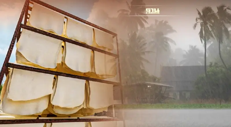 “ลานีญา” ทุบผลผลิต สต๊อกโลกวูบ ดันราคายางพุ่ง ร้อนแรง