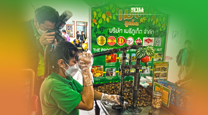 เอางานวิจัยใส่"เม็ดมะม่วงหิมพานต์"ภูเก็ตต่อยอดSMEsสู่ตลาดสากล เอางานวิจัยใส่"เม็ดมะม่วงหิมพานต์"ภูเก็ตต่อยอดSMEsสู่ตลาดสากล