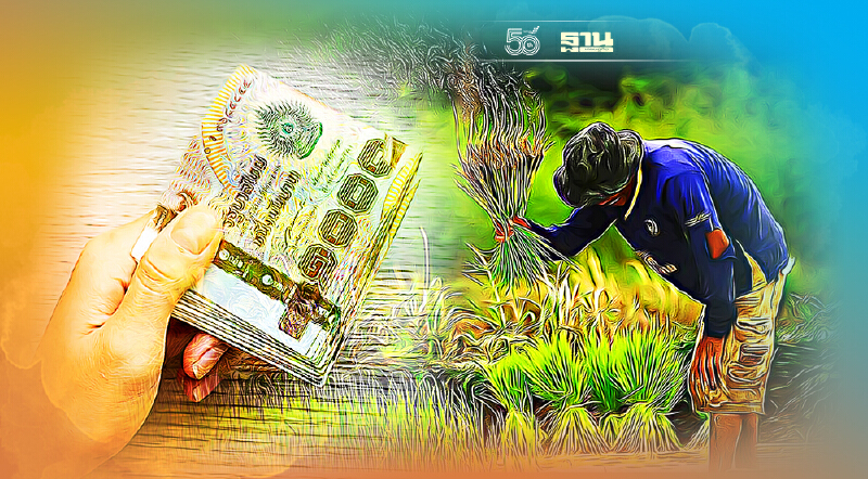 ประกันรายได้ข้าว ชาวนาลุ้นธ.ก.ส. จ่ายอีก 31 งวด