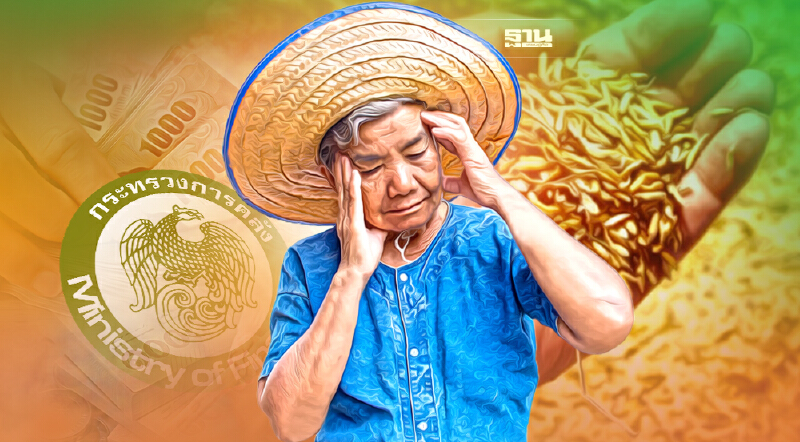 ประกันรายได้ข้าวก่อปัญหาฐานะการคลัง อนุสรณ์ชี้ไม่ใช่ทางแก้ยั่งยืน