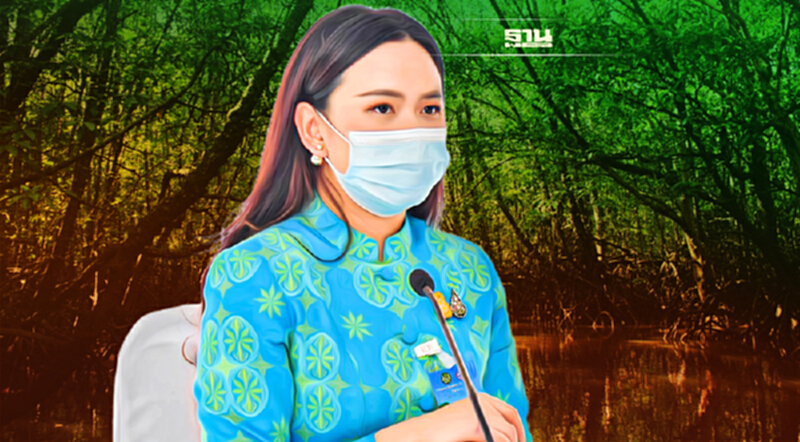 ครม.อนุมัติยกเว้นมติครม. เพื่อใช้ประโยชน์พื้นที่ป่าชายเลนใน 21 จังหวัด ครม.อนุมัติยกเว้นมติครม. เพื่อใช้ประโยชน์พื้นที่ป่าชายเลนใน 21 จังหวัด