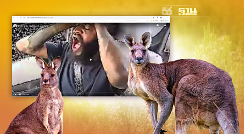 ทำไมต้องชื่อ "Kangaroo Court" ทำไมต้องชื่อ "Kangaroo Court"