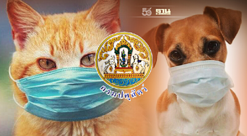 รู้ไหม? โควิด-19 ในหมา-แมว ไม่ติดต่อกลับสู่คน รู้ไหม? โควิด-19 ในหมา-แมว ไม่ติดต่อกลับสู่คน