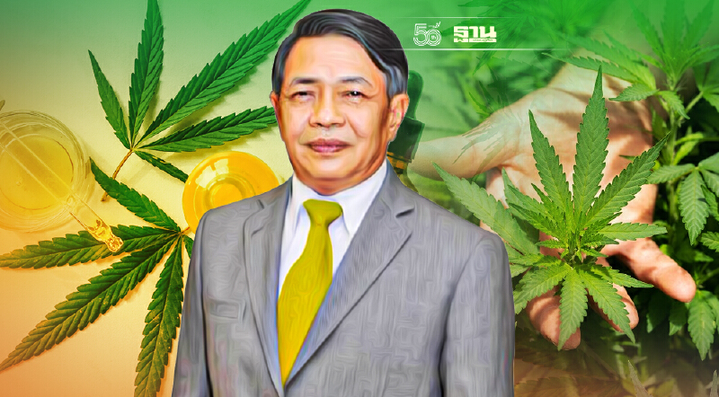 ไทยเร่งโต ตั้งเป้ายอดขาย “กัญชา กัญชง” 2 .5  พันล้านดอลลาร์ ใน 3 ปี