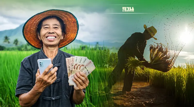 ประกันรายได้ข้าว ชาวนาเช็คส่วนต่างงวดที่1-7 ได้ที่นี่ ประกันรายได้ข้าว ชาวนาเช็คส่วนต่างงวดที่1-7 ได้ที่นี่