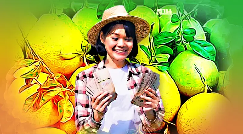 ผลไม้ไทย บุกตลาดญี่ปุ่น  “พาณิชย์”ดันส้มโอข้าวน้ำผึ้ง