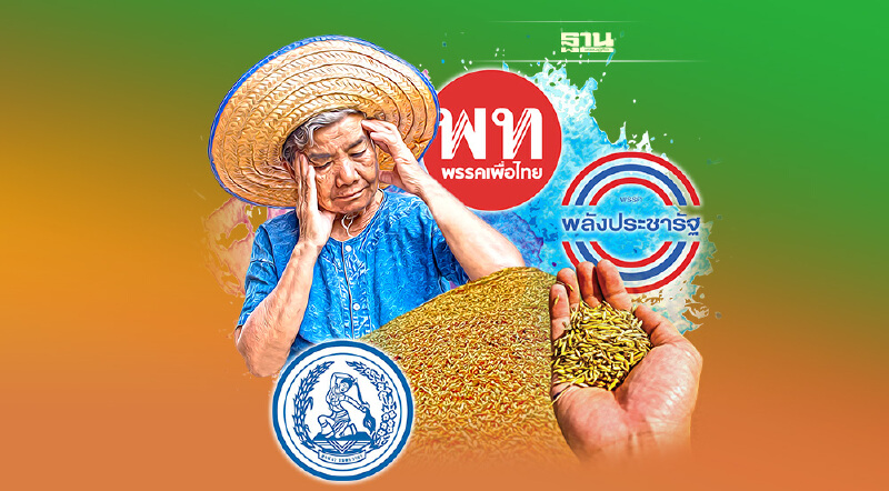 “ชาวนา-ข้าว” กับผลประโยชน์นักการเมือง “ชาวนา-ข้าว” กับผลประโยชน์นักการเมือง