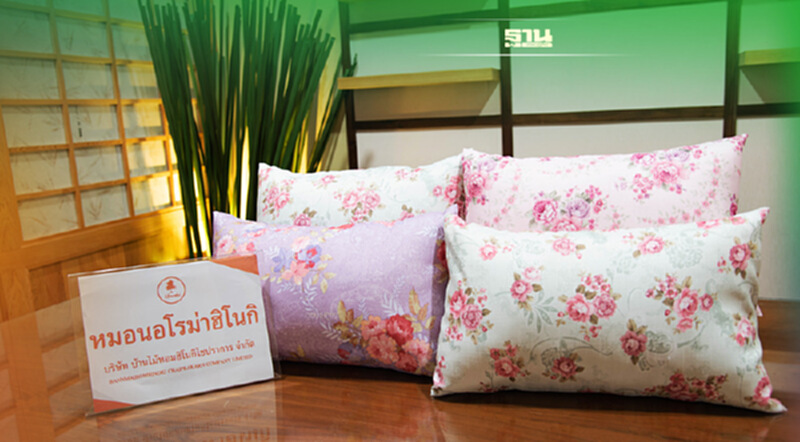 นาโนเทค หนุน “ฮิโนกิ” สู้โควิดส่งนวัตกรรม “หมอนอโรม่า” สร้างตลาดใหม่ นาโนเทค หนุน “ฮิโนกิ” สู้โควิดส่งนวัตกรรม “หมอนอโรม่า” สร้างตลาดใหม่