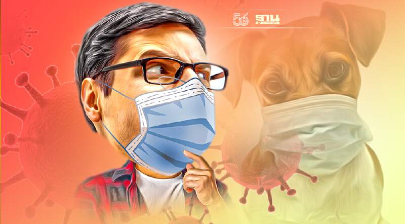 โควิด-19 จากหมาแมวมาคน หมอธีระวัฒน์ชี้เป็นเรื่องที่ต้องไม่ตกใจ