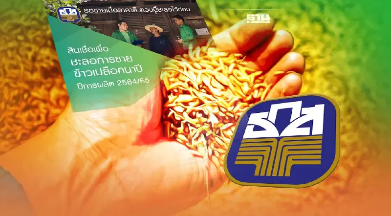 เปิดเงื่อนไข! สินเชื่อ ธ.ก.ส. ชะลอขายข้าวเปลือกนาปี ให้กู้รายละ 3 แสน