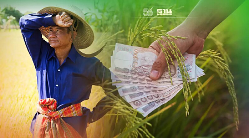 ประกันรายได้ข้าวปี 2564/65 รอบที่ 1 กรมการค้าภายใน ออกประกาศเป็นทางการแล้ว ประกันรายได้ข้าวปี 2564/65 รอบที่ 1 กรมการค้าภายใน ออกประกาศเป็นทางการแล้ว
