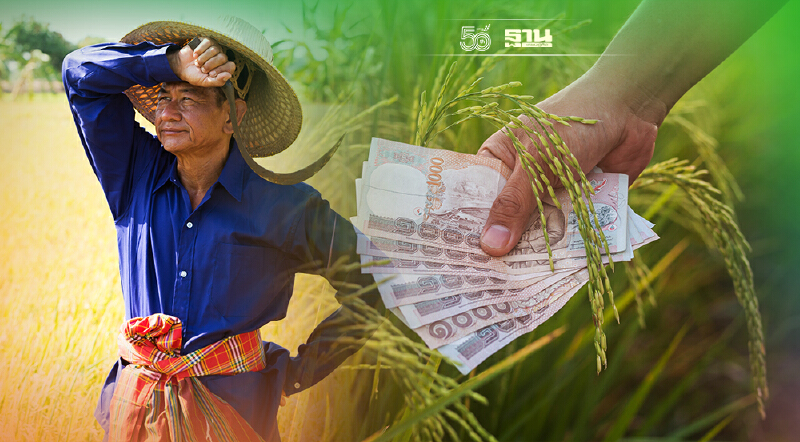 วิธีคิดเงินประกันรายได้ข้าว 64/65 ได้เงินส่วนต่างเท่าไหร่คำนวณแบบนี้