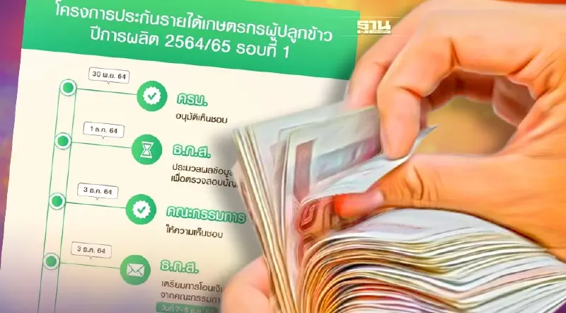 เช็คเงินประกันราคาข้าว ปี 64 65ล่าสุด  รอบที่ 1 ธ.ก.ส.พร้อมโอนงวดที่ 1- 7 ดูด่วน