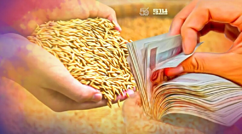 เงินเยียวยาเกษตรกรเข้าวันไหน ธ.ก.ส.สาขากำแพงเพชร โอนอีกหรือไม่ดูเลย