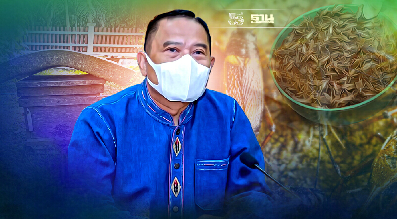 “กรมส่งเสริมการเกษตร”  เปิดรับขึ้นทะเบียน เกษตรกร 5 แมลงเศรษฐกิจ