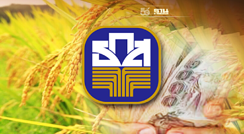 ธ.ก.ส.เคาะจ่ายเงินประกันรายได้ข้าวงวดแรก 9 พ.ย. 64 ธ.ก.ส.เคาะจ่ายเงินประกันรายได้ข้าวงวดแรก 9 พ.ย. 64