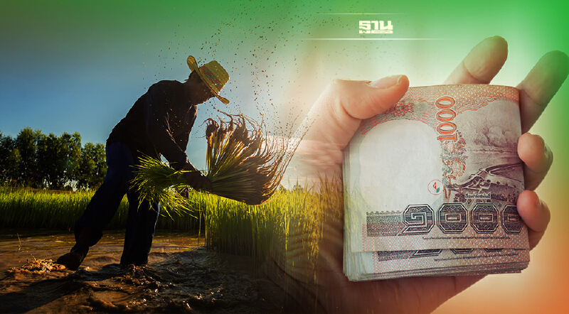 ประกันรายได้ข้าวแก้ปัญหาระยะสั้น-ใช้งบมาก นักวิชากรแนะกำหนดเพดานให้ชัด