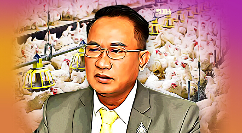 หยุดแชร์คลิป ไก่ไทยปลอดภัยไร้สารเร่งโต 100%