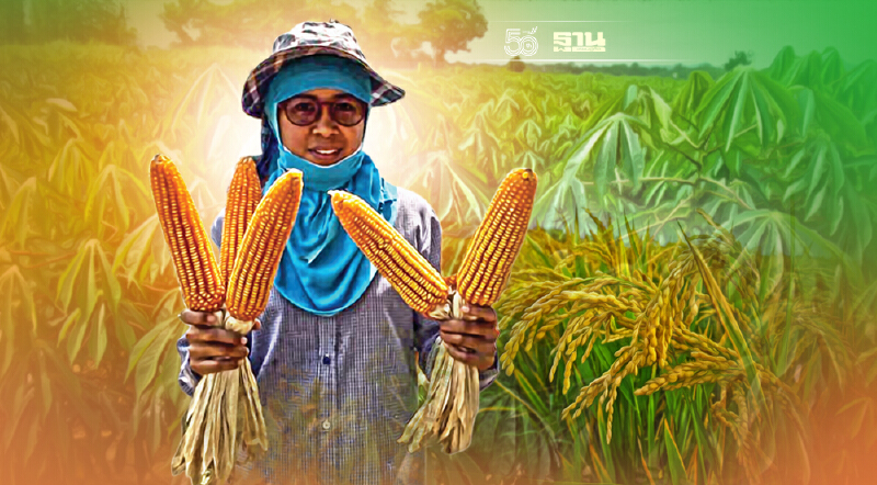 รัฐ–เอกชน เดินหน้าวัตถุดิบสีเขียว ตอบโจทย์ตลาดโลก นำร่อง ข้าวโพด-ข้าว-มัน