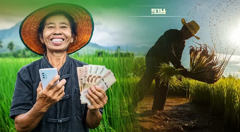 เช็คเงินประกันรายได้ข้าว chongkho.inbaac.com สถานะแบบไหนได้เงินชัวร์