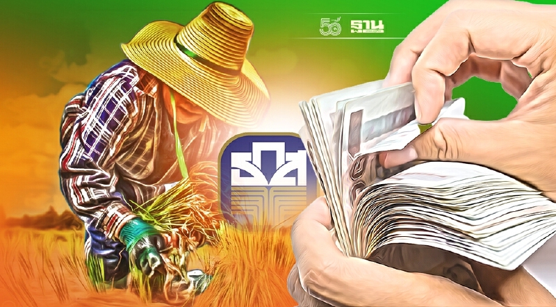 ทางลัดเช็คเงินประกันรายได้ข้าว64/65ล่าสุด คลิก chongkho.inbaac.com