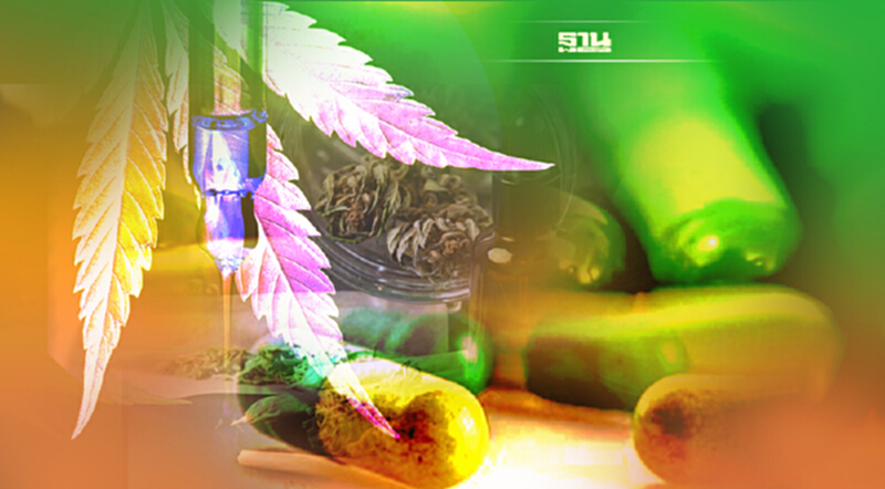 “กัญชา” บนเส้นทางGreen Medicineจะไปได้ไกลแค่ไหน “กัญชา” บนเส้นทางGreen Medicineจะไปได้ไกลแค่ไหน