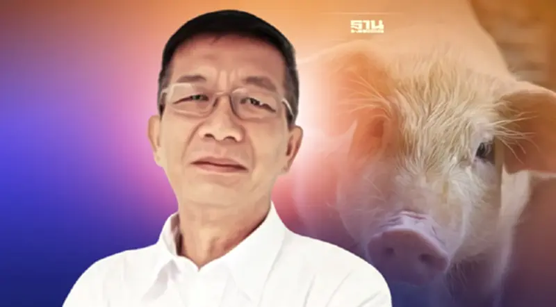 ผู้เลี้ยงหมูปักษ์ใต้ถอนหายใจ ขายหมูขาดทุน ถอดใจเลิกอาชีพ ผู้เลี้ยงหมูปักษ์ใต้ถอนหายใจ ขายหมูขาดทุน ถอดใจเลิกอาชีพ