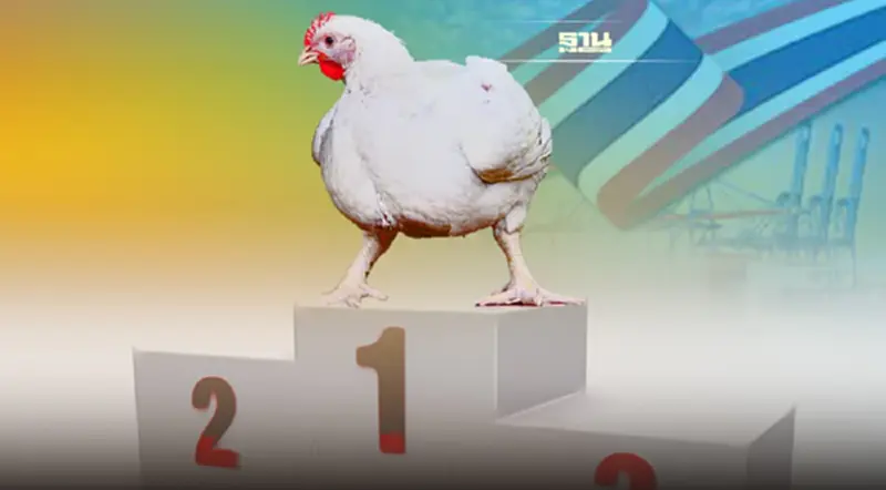 ไก่ไทยยืนหนึ่งมาตรฐานสวัสดิภาพสัตว์สากล มั่นใจส่งออกปีนี้ 1 แสนล้าน ไก่ไทยยืนหนึ่งมาตรฐานสวัสดิภาพสัตว์สากล มั่นใจส่งออกปีนี้ 1 แสนล้าน