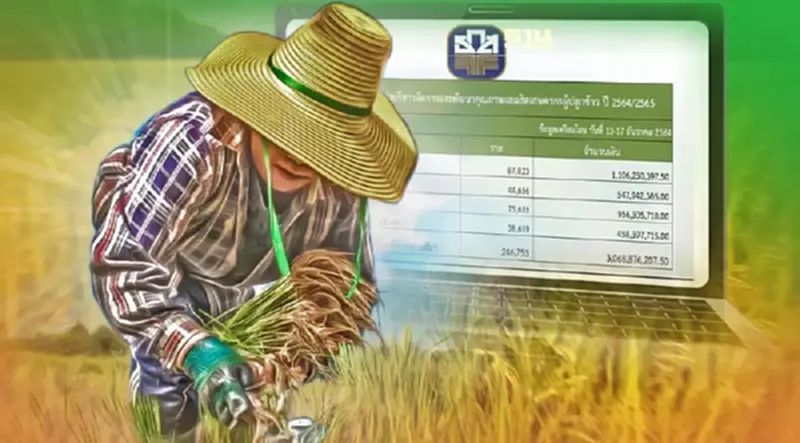 เช็คเงินประกันรายได้ข้าวปี 64 65 ล่าสุด ตรวจสอบ chongkho.inbaac.com ด่วน เช็คเงินประกันรายได้ข้าวปี 64 65 ล่าสุด ตรวจสอบ chongkho.inbaac.com ด่วน