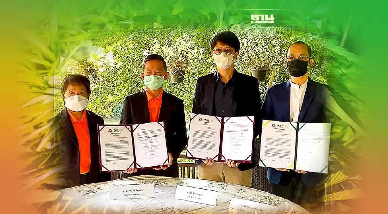 SUN ผนึก JP-KTDM ลุยวิจัยพัฒนากัญชงเต็มสูบ 