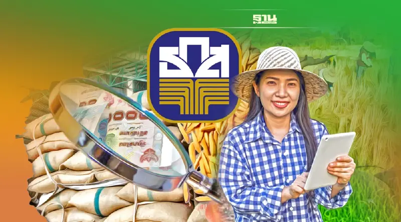 เช็ค ธ.ก.ส. โอนเงินประกันรายได้ผู้ปลูกข้าวงวดใหม่  ตรวจสอบเงินเข้าที่นี่