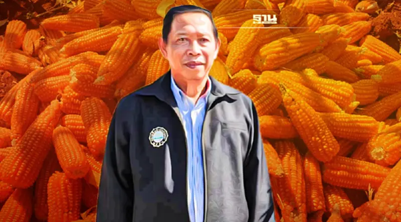 ได้ผลจริง เพิ่มผลผลิตข้าวโพดเลี้ยงสัตว์ ใช้ นาโนแคลเซียมคาร์บอเนต ได้ผลจริง เพิ่มผลผลิตข้าวโพดเลี้ยงสัตว์ ใช้ นาโนแคลเซียมคาร์บอเนต