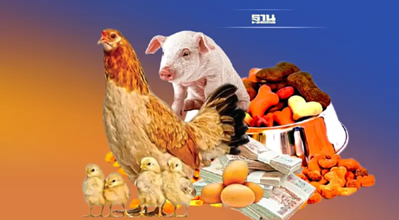 ส่งออกสินค้าปศุสัตว์ปี 65 รุ่ง ไก่กลับมาโต อาหารสัตว์เลี้ยงผงาดท็อป3 โลก ส่งออกสินค้าปศุสัตว์ปี 65 รุ่ง ไก่กลับมาโต อาหารสัตว์เลี้ยงผงาดท็อป3 โลก