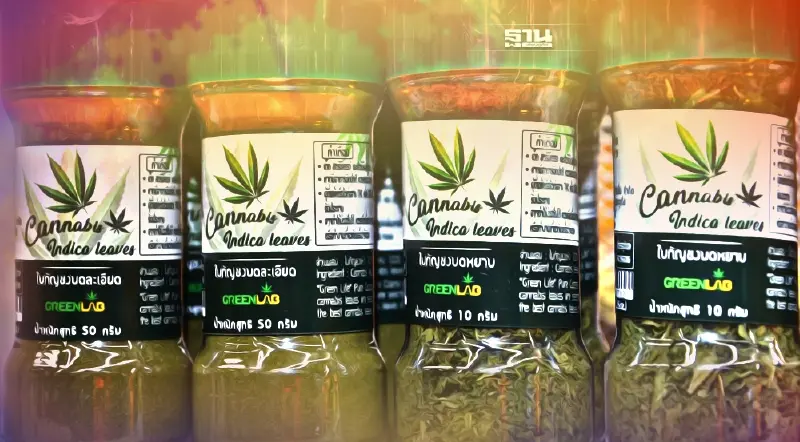 “ บิ๊กซี ” ไฟเขียว“ กรีน แล็บ ” ขายชิ้นส่วนแปรรูปกัญชา-กัญชง ก่อนปูพรม 200 สาขา