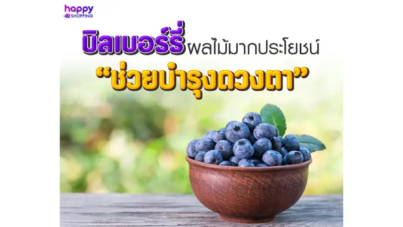 บิลเบอร์รี่ ผลไม้มากประโยชน์ช่วยดูแลดวงตา