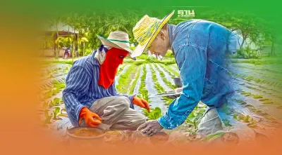 แผนฯ 13 เล็งผลเลิศ ดันรายได้เกษตรกร พุ่ง 5.37 แสนต่อครัวเรือน