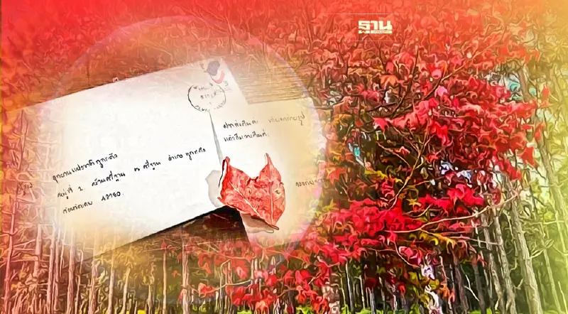 นักท่องเที่ยวแห่ส่งไปรษณีย์คืนใบเมเปิล "ภูกระดึง"วอนขออย่าเก็บกลับบ้าน