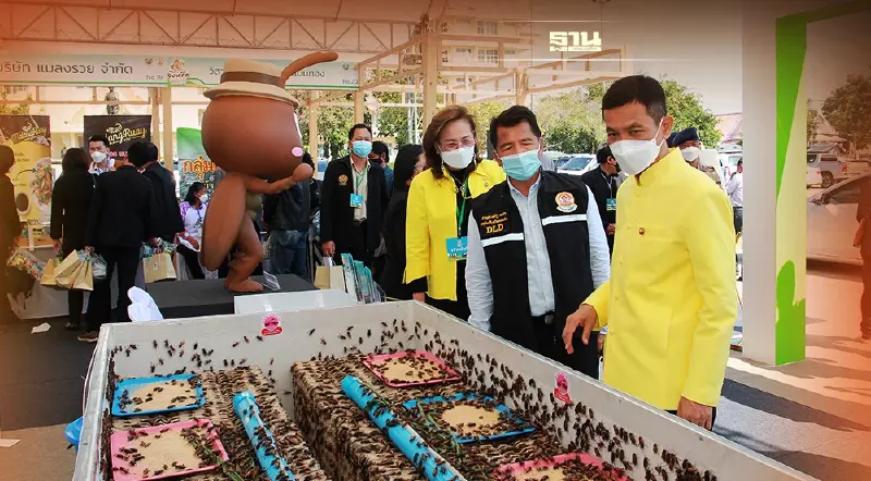 ขอนแก่น จัดใหญ่ “มหกรรมจิ้งหรีด” ยกระดับเศรษฐกิจฐานราก