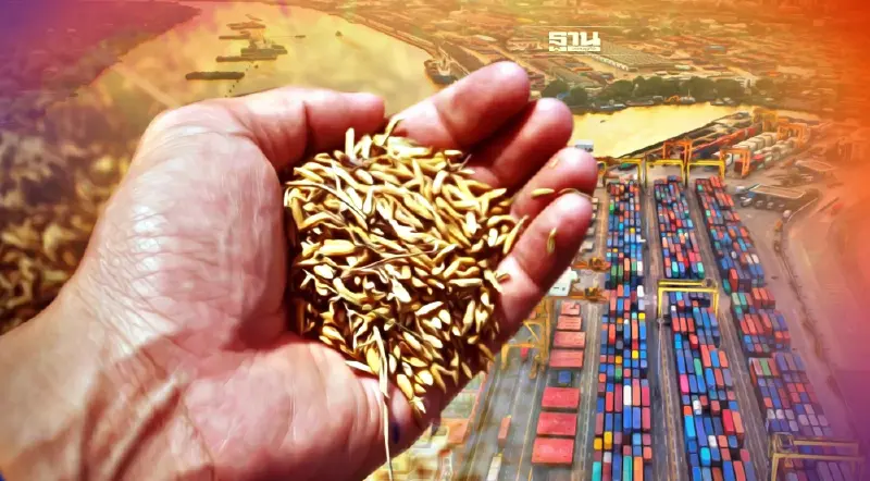 ชี้เป้าตลาดส่งออกข้าวไทย กำลังซื้อสูง เช็คเลย..