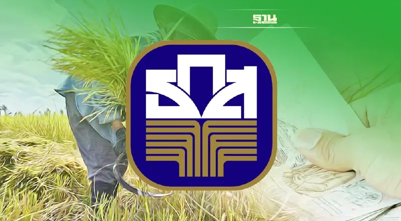 ธ.ก.ส. ยืนยันจ่ายเงินประกันรายได้เกษตรกรผู้ปลูกข้าว 9 ธ.ค.นี้