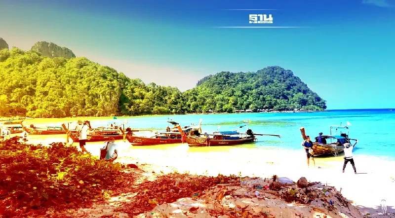 ไปเล่นนํ้าทะเลใสๆ ที่เกาะไผ่ ไฉไลไม่แพ้มาหยา ไปเล่นนํ้าทะเลใสๆ ที่เกาะไผ่ ไฉไลไม่แพ้มาหยา